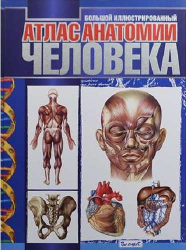 Книга: Большой иллюстрированный атлас анатомии человека (Спивак Анна) ; Владис, 2015 