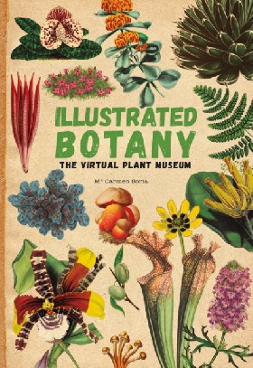 Книга: Illustrated Botany: The Virtual Plant Museum / Soria, Carmen (Soria Carmen) , 2022 