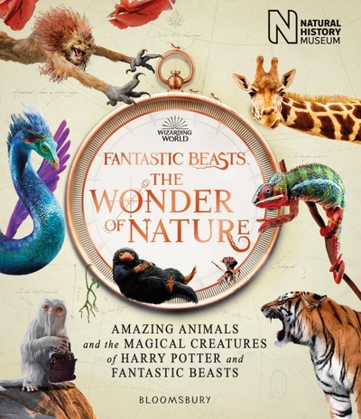 Fantastic Beasts. The Wonder of Nature. Amazing Animals and the Magical Creatures of Harry Potter Bloomsbury 