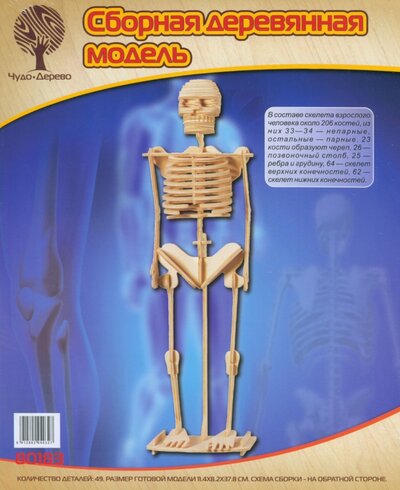 Модель деревянная сборная. Скелет человека ВГА 