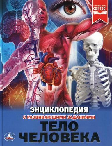 Книга: Тело человека (Волцит Пётр Михайлович, Хомякова Кристина (редактор)) ; Умка, 2019 