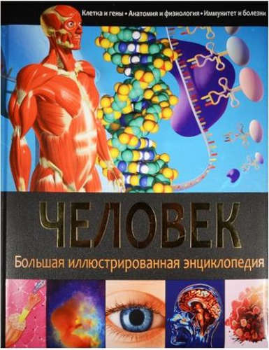 Книга: БИЭ. Человек (Феданова Ю., Скиба Т. (ред.)) ; Владис, 2016 
