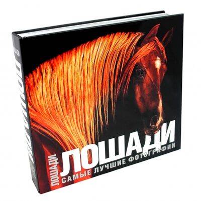 Книга: Лошади. Самые лучшие фотографии (Карпенко Т.) ; АСТ, 2008 