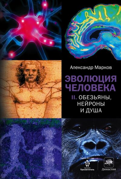 Книга: Эволюция человека. В 2-х книгах. Книга 2. Обезьяны, нейроны и душа (Марков Александр Владимирович) ; Corpus, 2022 