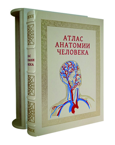 Книга: Книга Атлас анатомии человека (Астахов Андрей Юрьевич) , 2023 