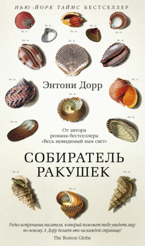 Книга: Собиратель ракушек : роман (Петрова Е. (переводчик), Дорр Энтони) ; Азбука, 2015 