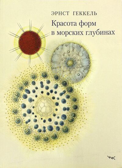 Книга: Красота форм в морских глубинах (Геккель Эрнест) ; Вернера Регена, 2009 