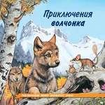 Книга: Приключения волчонка (Гурина Ирина Валерьевна) ; Фламинго, 2020 