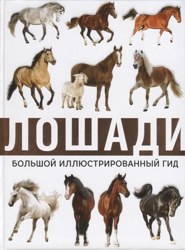 Книга: Лошади. Большой иллюстрированный гид (Спектор Анна Артуровна) ; АСТ, 2019 