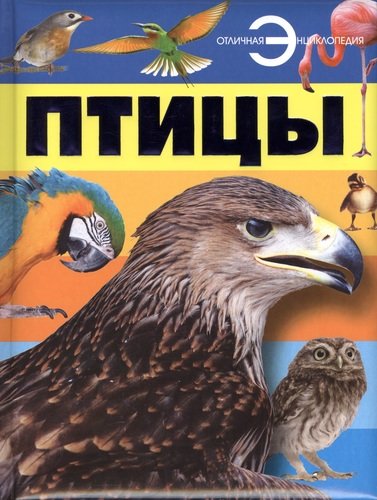 Книга: Птицы (Спектор Анна Артуровна) ; АСТ, 2017 