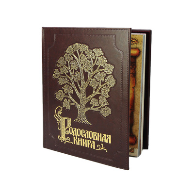 Книга: Альбом Родословная Книга Изысканная обложка из экокожи с золочением KSVA-PM-004-ЭК (без автора) 