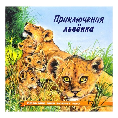 Книга: Приключения львенка Гурина И. В. (Гурина Ирина Валерьевна) , 2017 