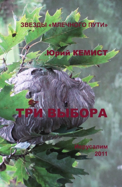 Книга: Три выбора (Кемист Юрий) , 2010 