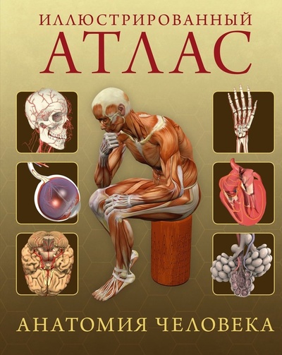 Книга: Иллюстрированный атлас. Анатомия человека (Роубак Джейми) ; Махаон, 2024 