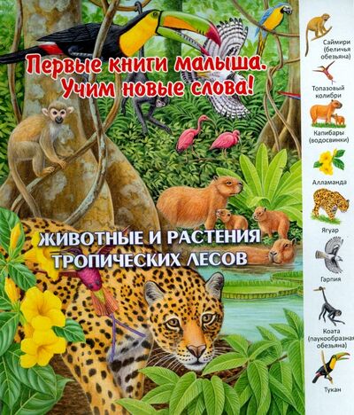 Книга: Животные и растения тропических лесов (Комарова Д. (редактор)) ; Улыбка, 2015 