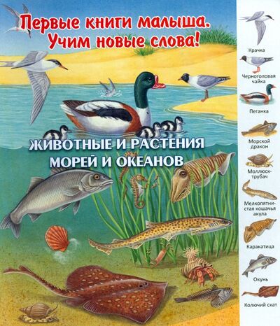 Книга: Животные и растения морей и океанов (Комарова Д. (редактор)) ; Улыбка, 2015 