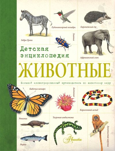 Книга: Животные. Детская энциклопедия (Волцит Пётр Михайлович (переводчик)) ; АСТ, 2015 