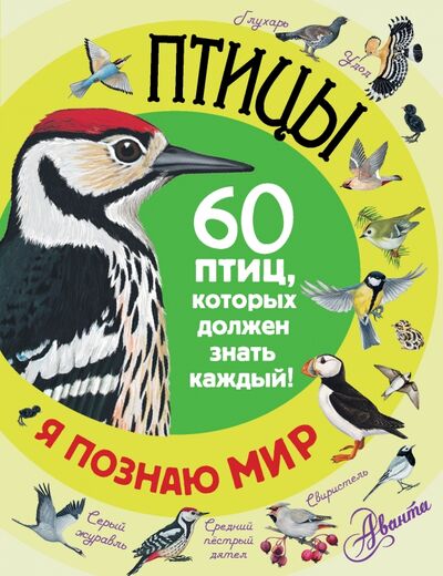 Книга: Птицы. 60 птиц, которые должен знать каждый (Снегирева Елена Юрьевна, Дунаева Ю. А.) ; АСТ, 2016 