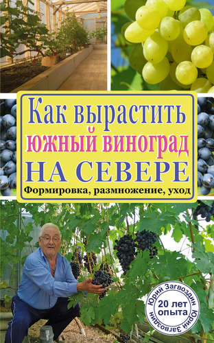 Книга: Как вырастить южный виноград на севере (Загвоздин) ; Кладезь, 2015 