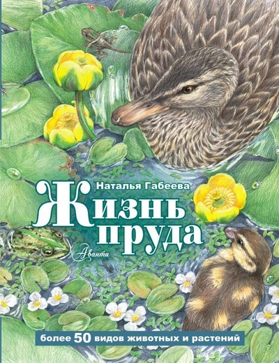 Книга: Жизнь пруда (Габеева Наталья Михайловна) ; Аванта, 2024 