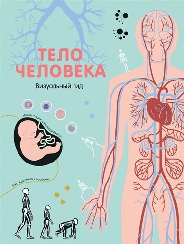 Книга: Тело человека. Визуальный гид (Перабони Кристина) ; РОСМЭН, 2019 