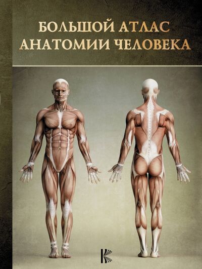 Книга: Большой атлас анатомии человека (Перез Винсент) ; Астрель, 2014 