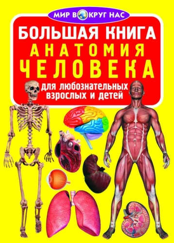 Книга: Большая книга. Анатомия человека (Завязкин) ; Кристал Бук, 2016 