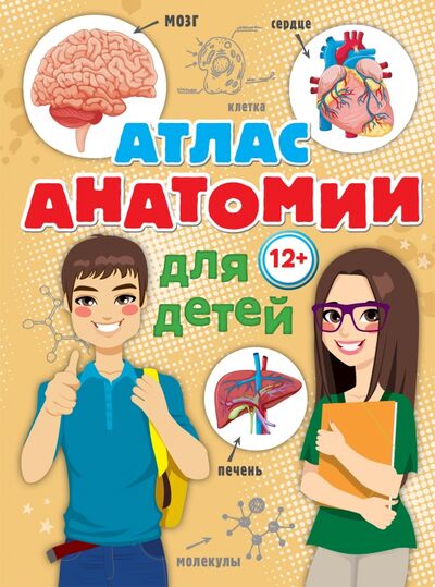 Книга: Атлас анатомии для детей (Швырев Александр Андреевич) ; АСТ, 2018 