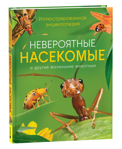 Книга: Иллюстрированная энциклопедия Невероятные насекомые (Мэтт Тернер) ; РОСМЭН, 2024 