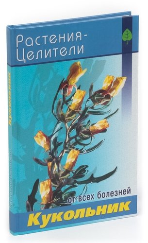 Книга: Кукольник; Лениздат, 2005 