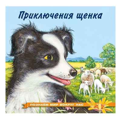 Книга: Приключения щенка Гурина И. В. (Гурина Ирина Валерьевна) , 2019 