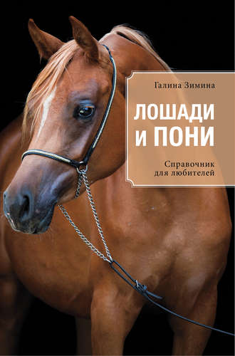 Книга: Лошади и пони (Зимина Галина) ; Эксмо, 2015 