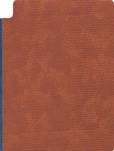 Бизнес-блокнот "Снейк" (98 листов, А5, коричневый) (47609) Феникс+ 