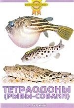 Книга: Тетраодоны (рыбы-собаки) (Гуржий Александр Николаевич) ; Аквариум, 2008 