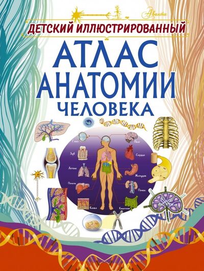 Книга: Детский иллюстрированный атлас анатомии человека (Спектор Анна Артуровна) ; Аванта, 2018 