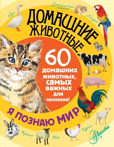 Книга: Домашние животные. 60 домашних животных, самых важных для человека (Снегирева Елена Юрьевна) ; АСТ, 2016 