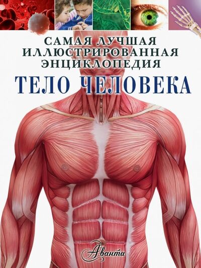 Книга: Тело человека (Гибберт Клэр) ; Аванта, 2018 