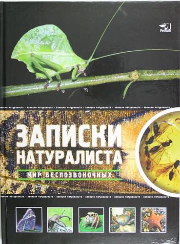 Книга: Мир беспозвоночных (Жабская Татьяна Степановна (составитель)) ; Фактор, 2007 