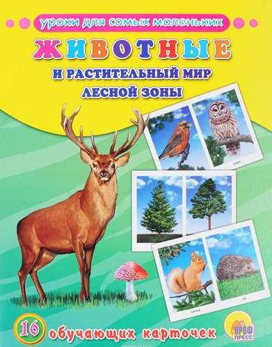 Книга: Животные и растительный мир лесной зоны (Визаулин Александр) ; Проф-Пресс, 2020 
