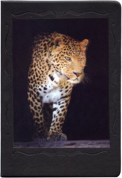 Записная книжка 3D "Леопард" (А5, 80 листов, кожзам) (NB-3D-L) Arte Nuevo 