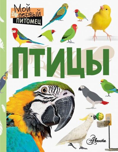 Книга: Птицы (Аронова Наталия Леонидовна) ; Аванта, 2019 