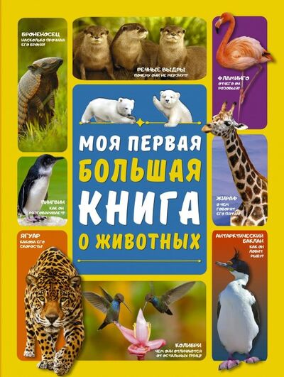 Книга: Моя первая большая книга о животных (Ермакович Дарья Ивановна, Вайткене Любовь Дмитриевна) ; АСТ, 2019 