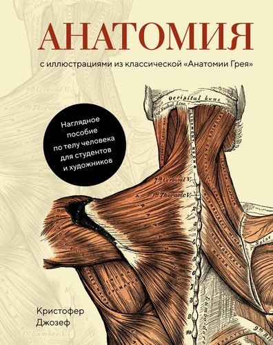 Книга: Анатомия (с иллюстрациями из классической "Анатомии Грея") (Джозеф Куртис) ; КоЛибри, 2021 