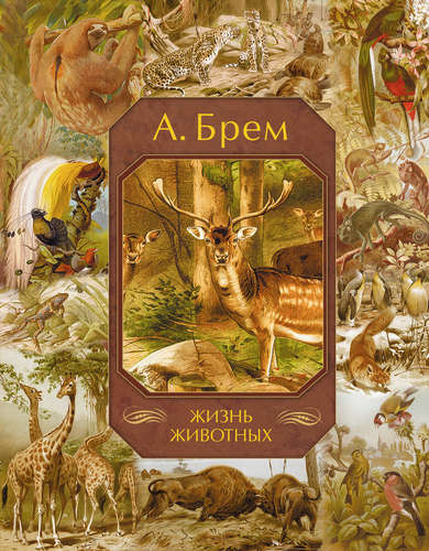 Книга: Жизнь животных (Брем Альфред Эдмунд, Брэм Альфред Эдмунд (соавтор)) ; АСТ, 2013 