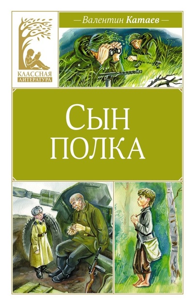 Книга: Сын полка (Катаев Валентин Петрович) ; Махаон, 2024 