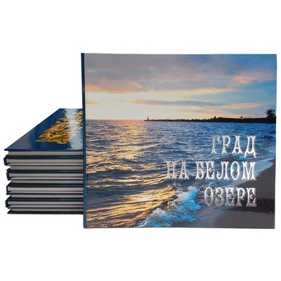 Книга: Град на белом озере (Коновалов Федор Яковлевич) ; Древности Севера, 2017 