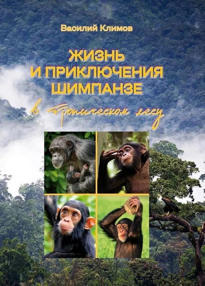 Книга: Жизнь и приключения шимпанзе в тропическом лесу (Климов В.) ; КТК Галактика, 2024 