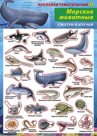 Морские животные. Наклейки тематические РУЗ Ко 
