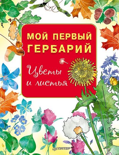 Книга: Мой первый гербарий. Цветы и листья (Вирио Ольга (иллюстратор)) ; Питер, 2018 