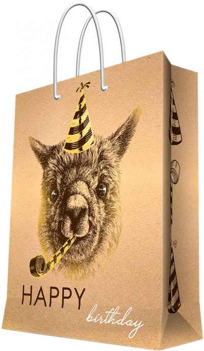 Пакет бумажный "Happy Birthday", 17,8x22,9x9,8 см Феникс-Презент 
